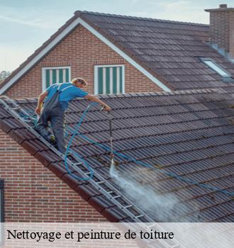 Nettoyage et peinture de toiture