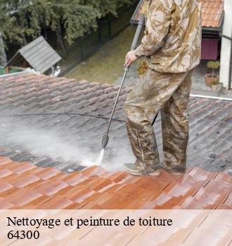 Nettoyage et peinture de toiture
