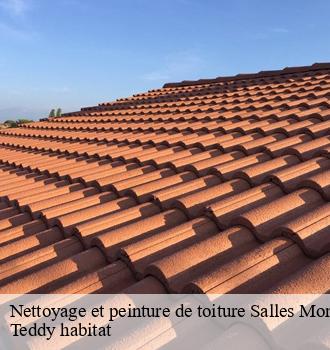 Nettoyage et peinture de toiture