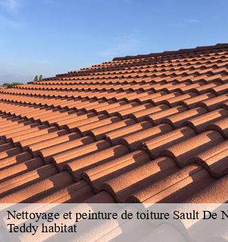 Nettoyage et peinture de toiture