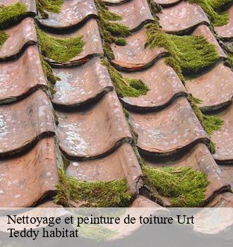 Nettoyage et peinture de toiture