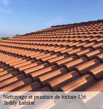 Nettoyage et peinture de toiture